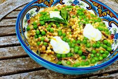 fregula